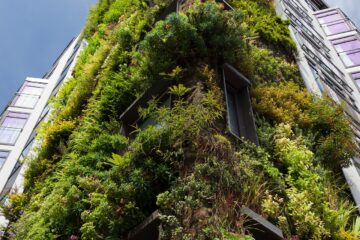 Edificio alto, en plano contrapicado, con la fachada llena de plantas en las que predomina el color verde.