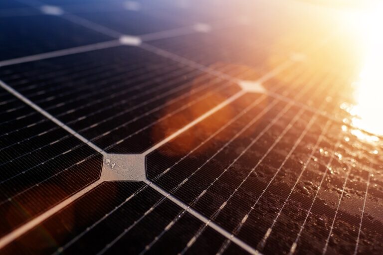 Foto de varios paneles solares iluminados por el sol.